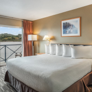 room with 1 king-One-King